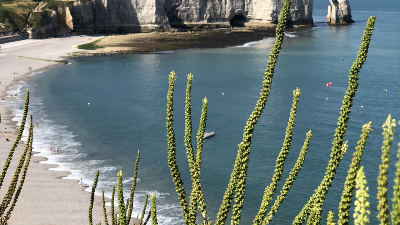 Aval Cliff, Water, Body of Water, Coast, Shore. Wallpaper in 1280x720 Resolution