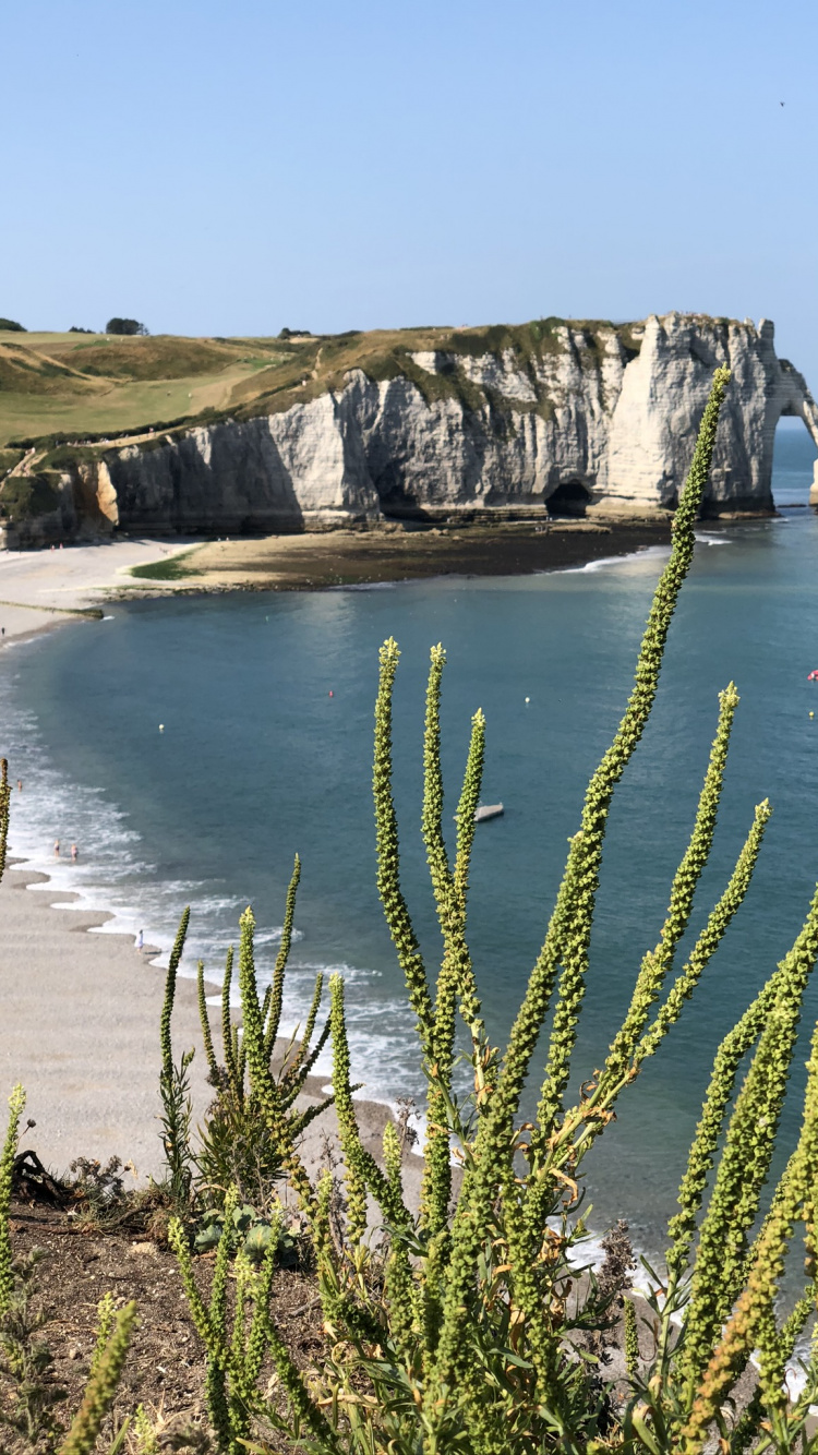 Falaise D'aval, Eau, Corps de L'eau, Côte, Rive. Wallpaper in 750x1334 Resolution