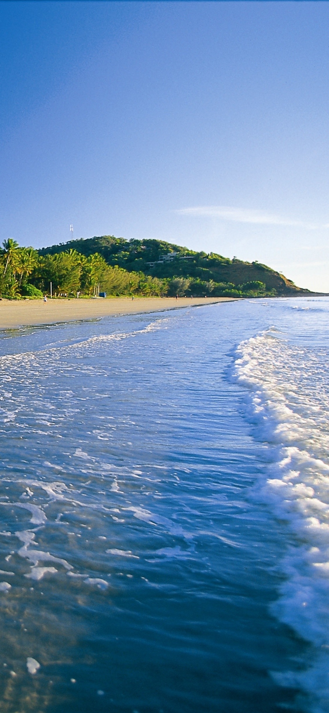 Green Trees Beside Blue Sea Under Blue Sky During Daytime. Wallpaper in 1125x2436 Resolution
