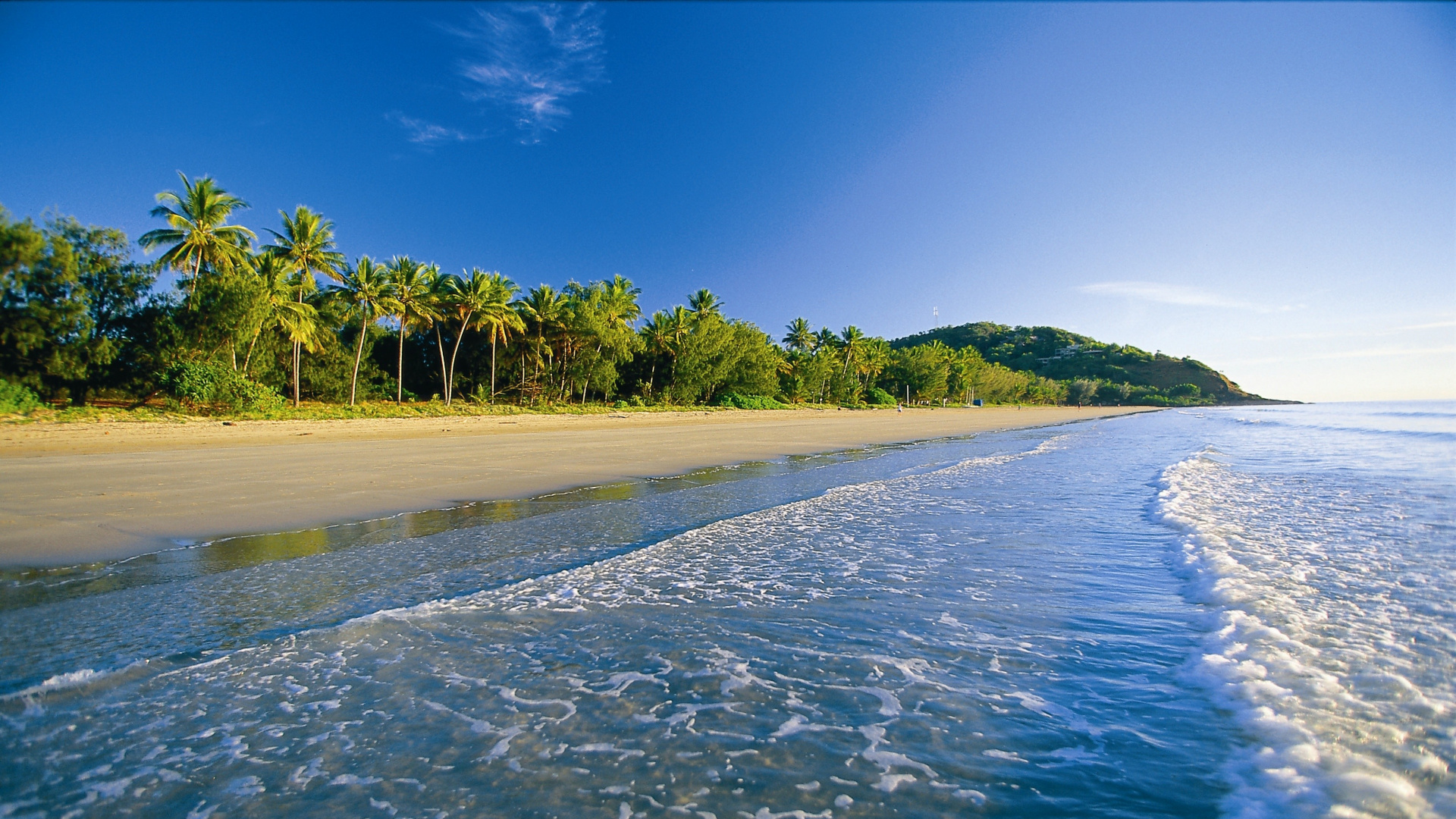 Green Trees Beside Blue Sea Under Blue Sky During Daytime. Wallpaper in 1920x1080 Resolution