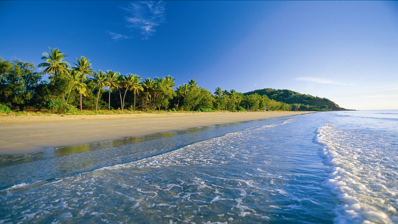 Grüne Bäume Neben Blauem Meer Unter Blauem Himmel Tagsüber. Wallpaper in 1366x768 Resolution