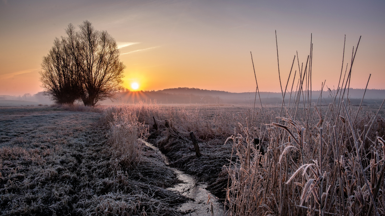 Gras, Naturlandschaft, Atmosphäre, Horizont, Sonnenaufgang. Wallpaper in 1280x720 Resolution
