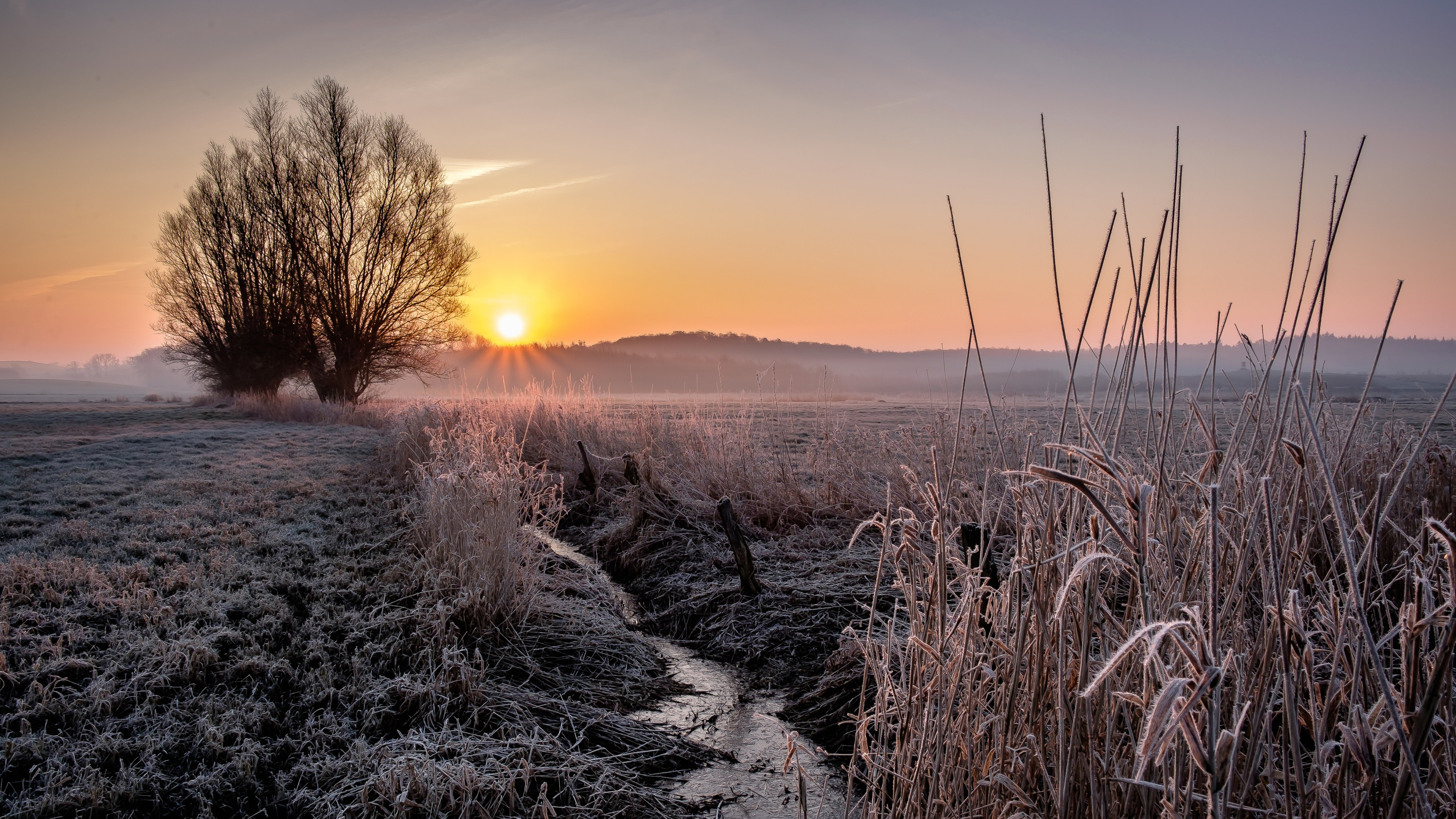 Gras, Naturlandschaft, Atmosphäre, Horizont, Sonnenaufgang. Wallpaper in 3840x2160 Resolution