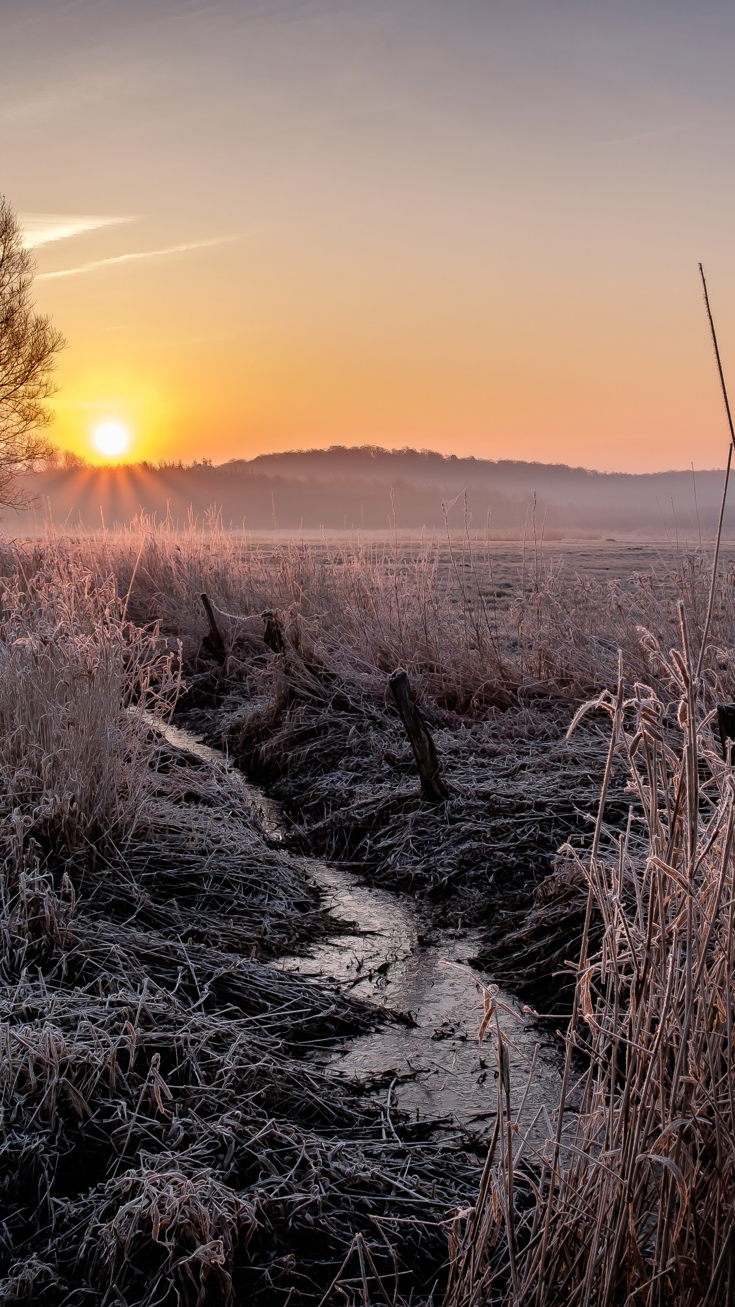 Grass, Natural Landscape, Atmosphere, Landscape, Horizon. Wallpaper in 1440x2560 Resolution