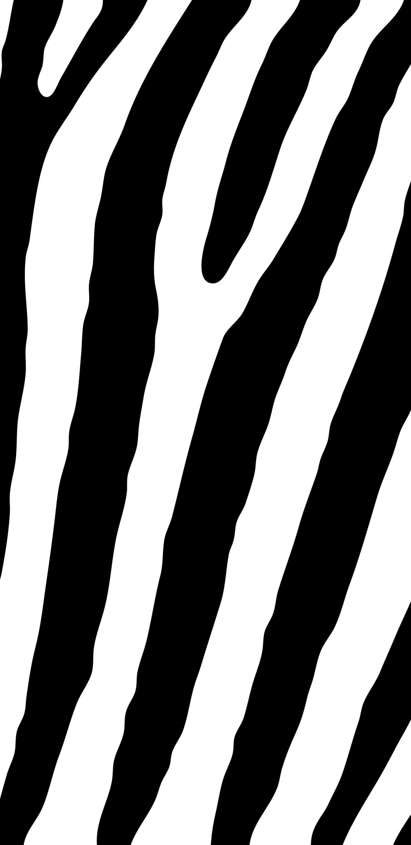 Black and White Striped Illustration. Wallpaper in 1440x2960 Resolution