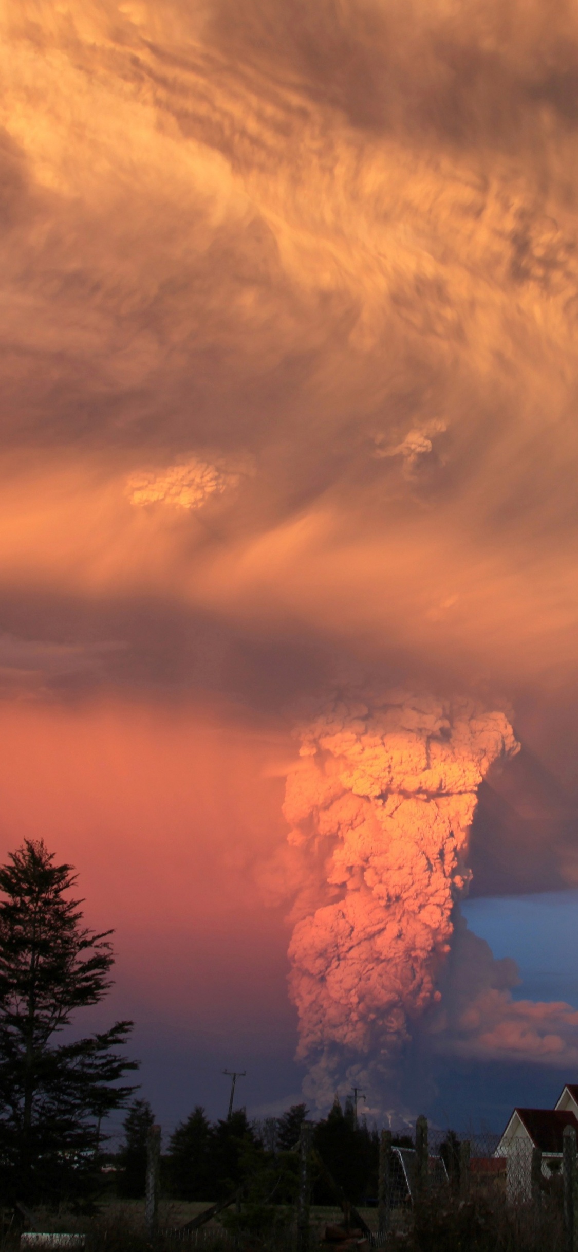 Silhouette of Trees and House Under Cloudy Sky During Sunset. Wallpaper in 1125x2436 Resolution