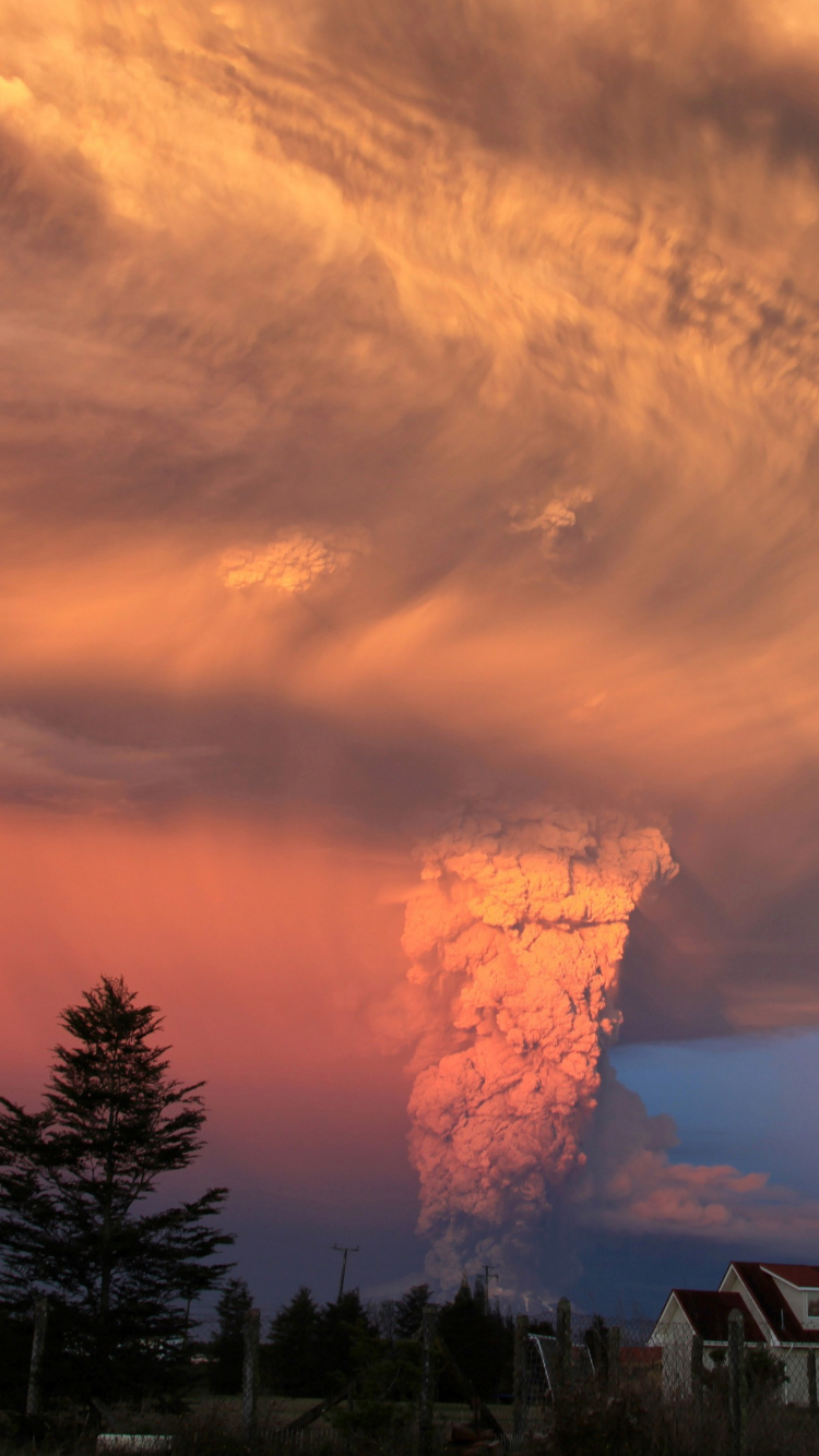 Silhouette of Trees and House Under Cloudy Sky During Sunset. Wallpaper in 750x1334 Resolution