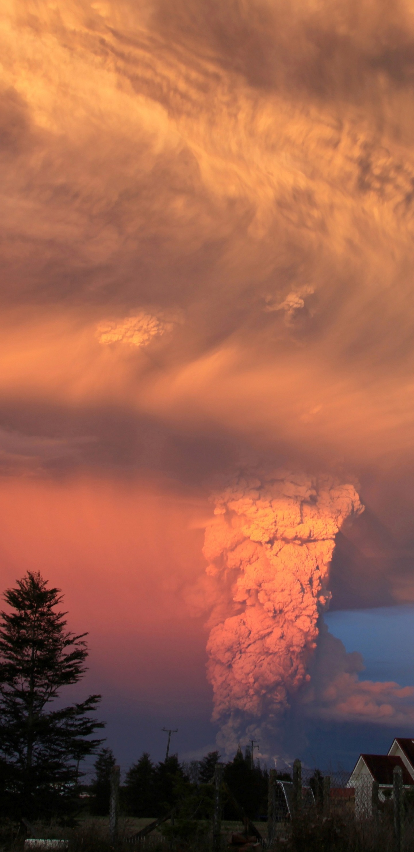 Silueta de Árboles y Casa Bajo el Cielo Nublado Durante la Puesta de Sol. Wallpaper in 1440x2960 Resolution