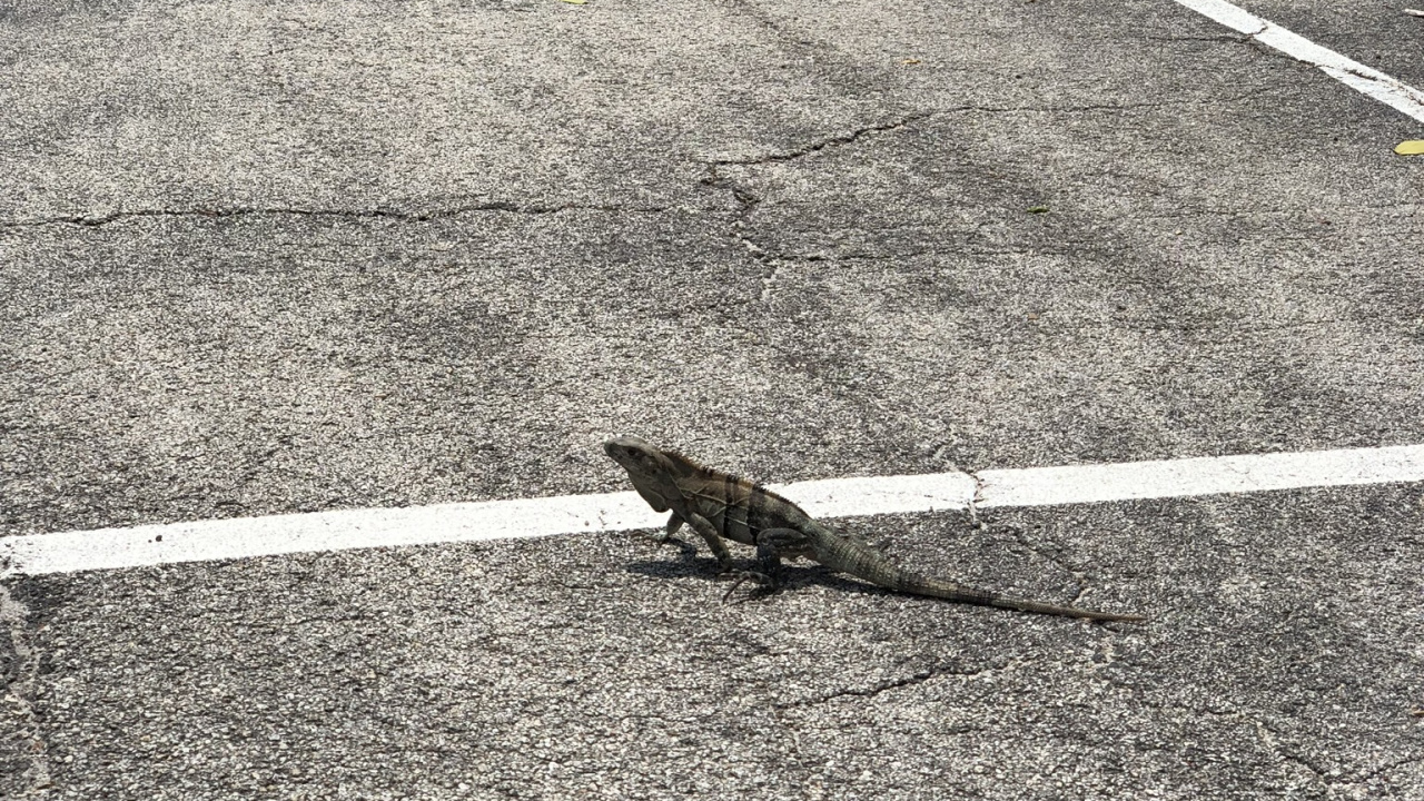 Asfalto, la Superficie de la Carretera, Geometría, Carretera, Naturaleza. Wallpaper in 1280x720 Resolution