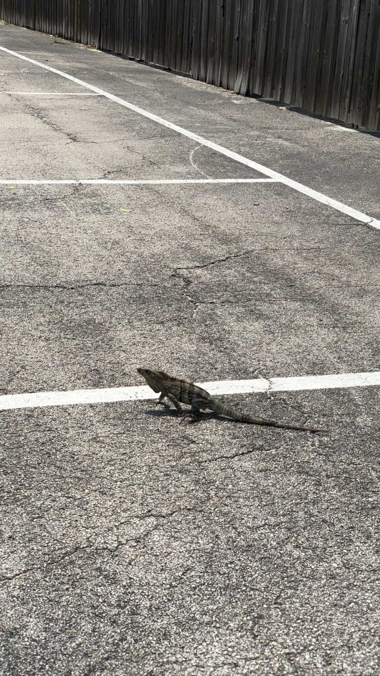 Asfalto, la Superficie de la Carretera, Geometría, Carretera, Naturaleza. Wallpaper in 750x1334 Resolution