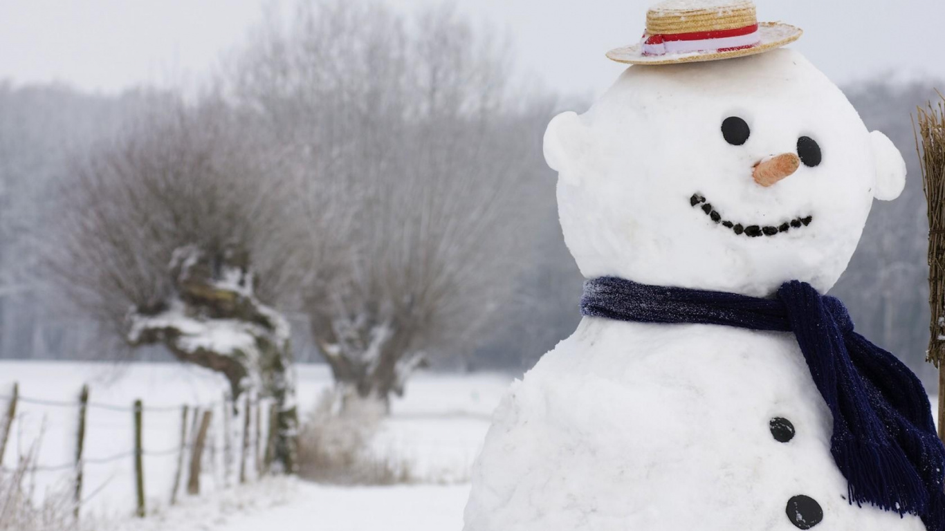 Bonhomme, Congélation, Tempête de L'hiver, Blizzard, Gel. Wallpaper in 1366x768 Resolution