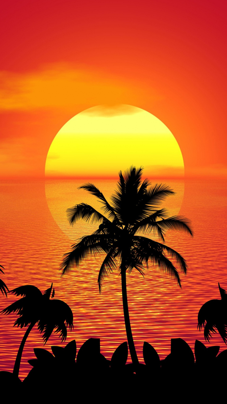 Silhouette de Palmiers au Coucher du Soleil. Wallpaper in 750x1334 Resolution