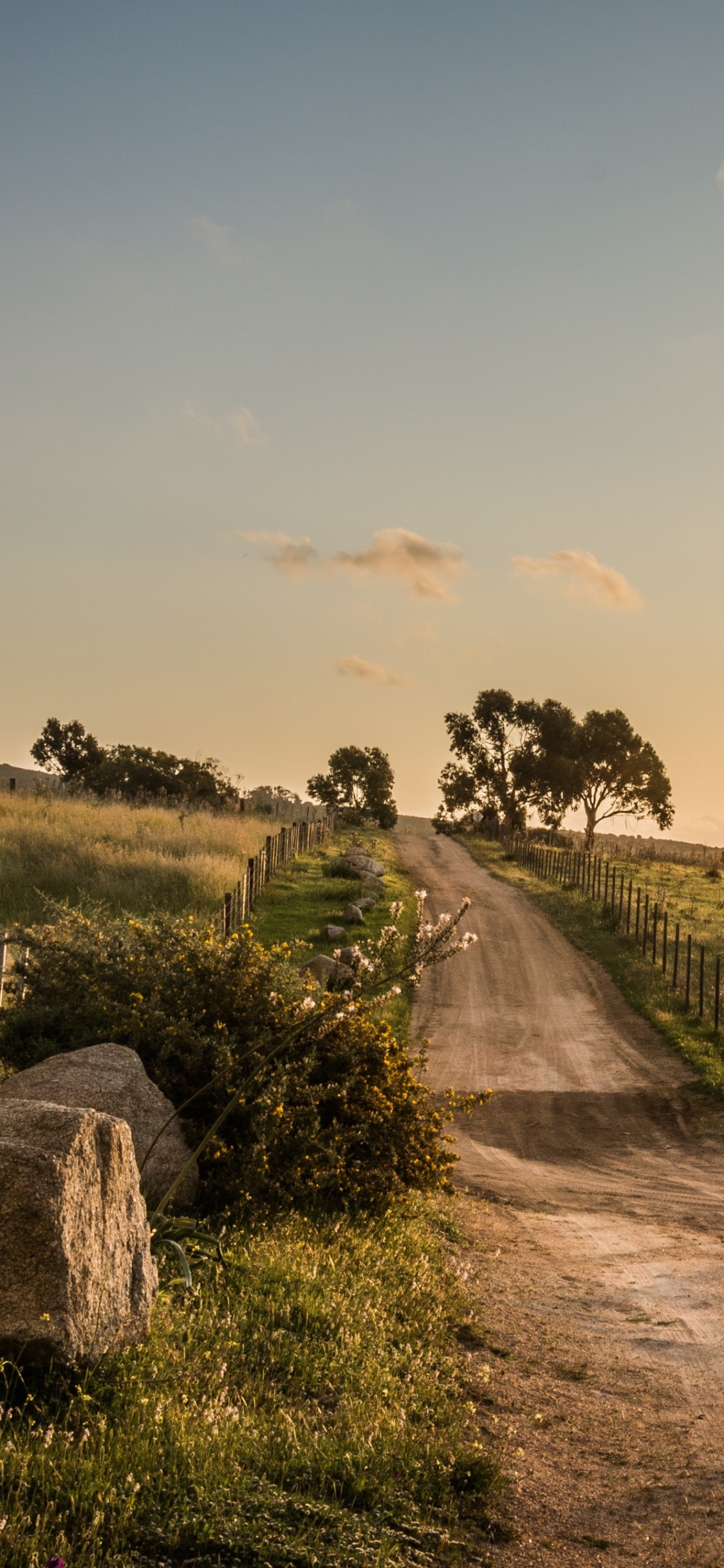 Gray Dirt Road Between Green Grass Field Under White Clouds During Daytime. Wallpaper in 1125x2436 Resolution