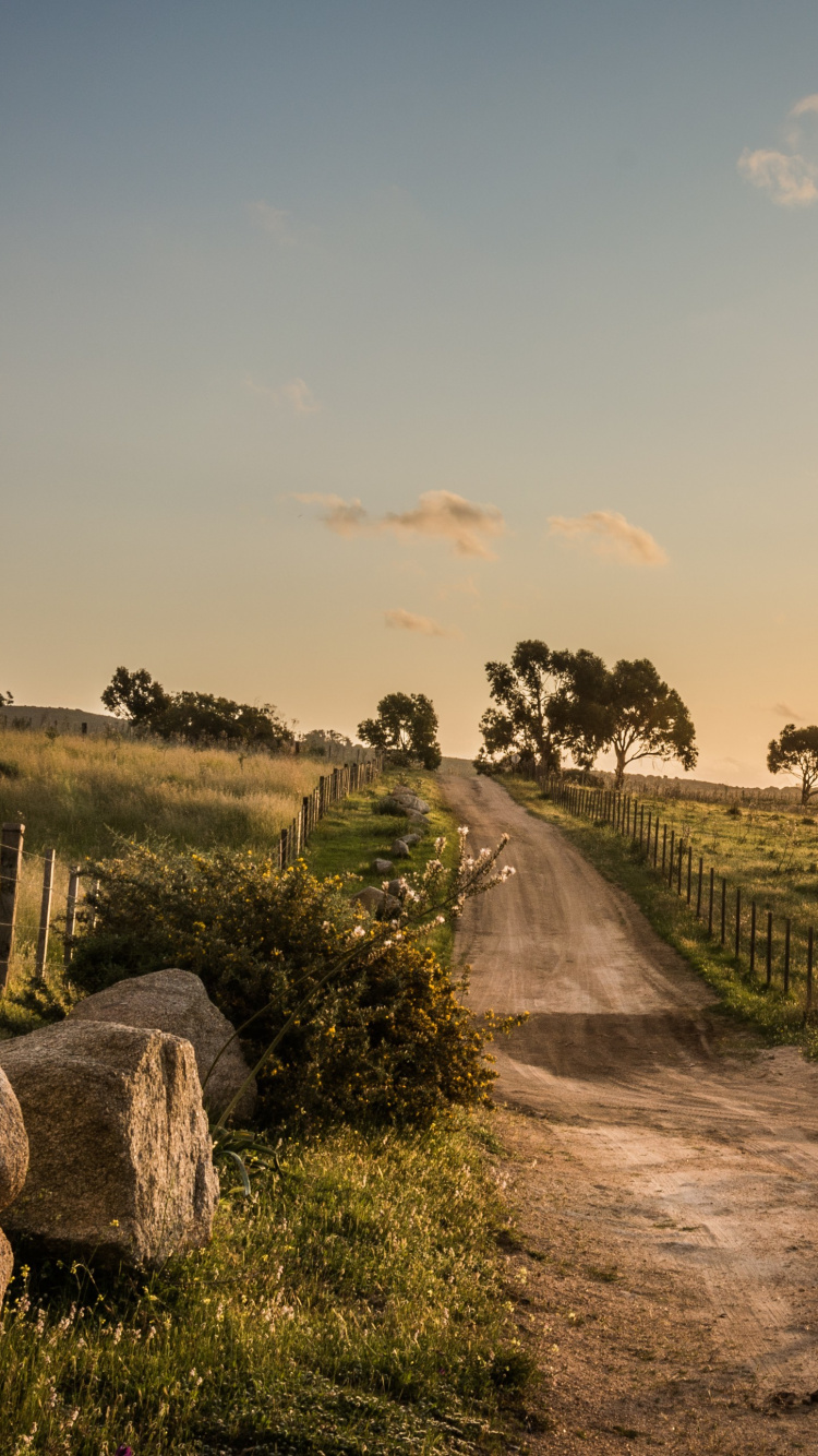 Gray Dirt Road Between Green Grass Field Under White Clouds During Daytime. Wallpaper in 750x1334 Resolution