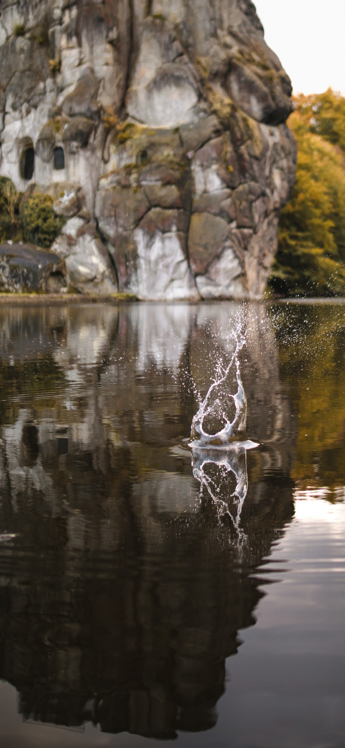 Reflexion, Baum, Rock, Natur, Tokyo Skytree. Wallpaper in 1125x2436 Resolution
