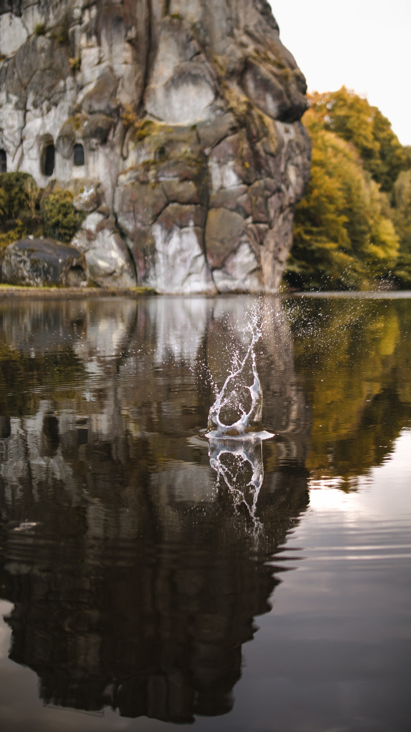 Reflexion, Baum, Rock, Natur, Tokyo Skytree. Wallpaper in 1440x2560 Resolution