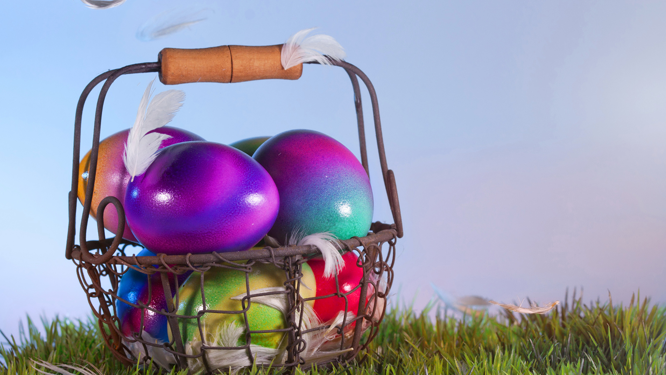 Grass, Easter Egg, Egg, Holiday, Basket. Wallpaper in 2560x1440 Resolution