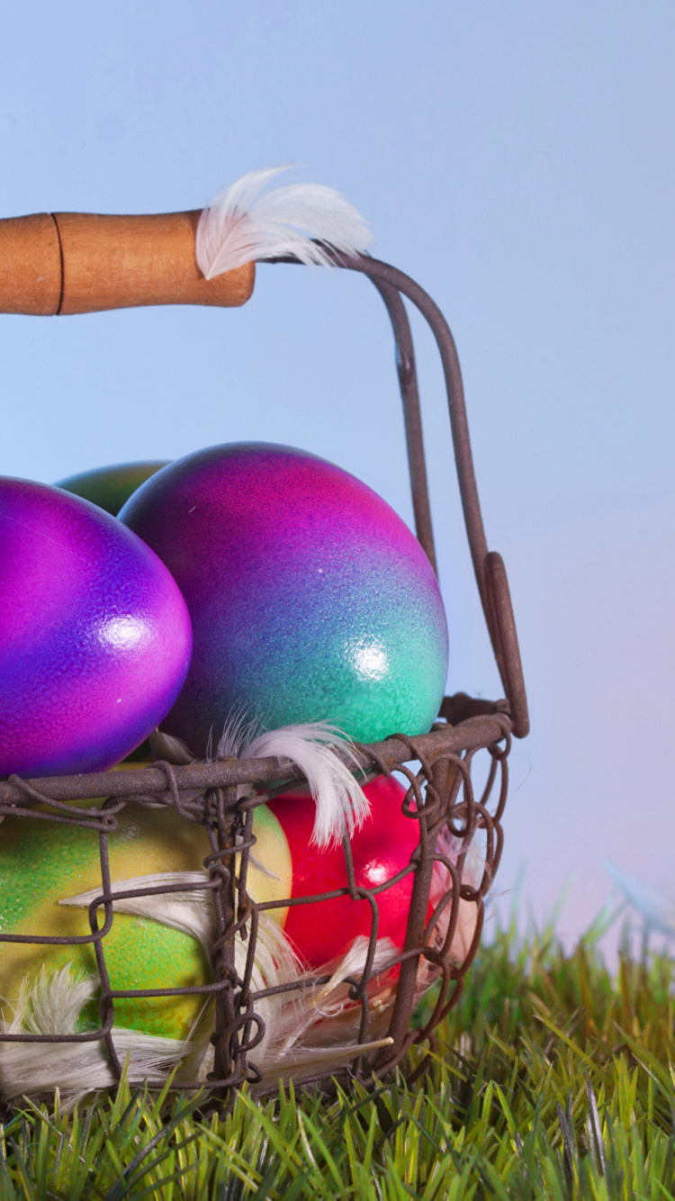 Grass, Easter Egg, Egg, Holiday, Basket. Wallpaper in 750x1334 Resolution