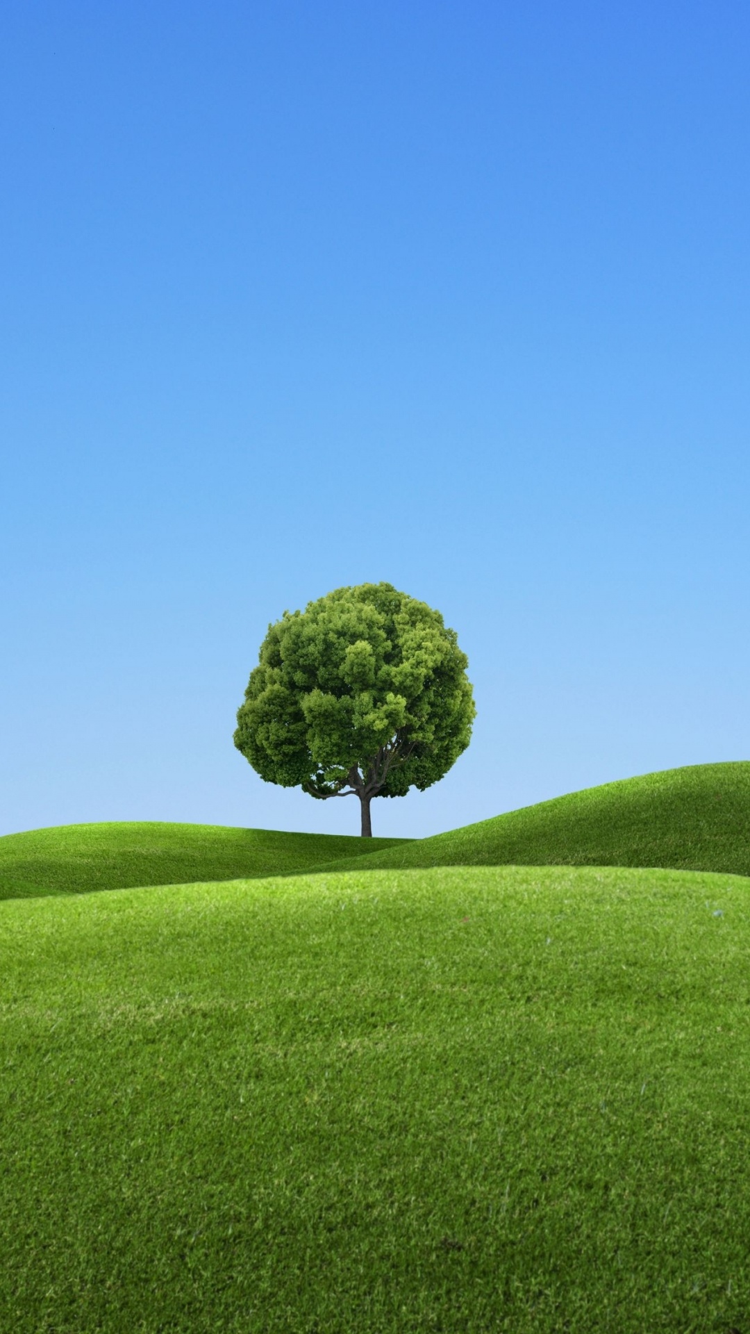 Árbol Verde en el Campo de Hierba Verde Bajo un Cielo Azul Durante el Día. Wallpaper in 1080x1920 Resolution