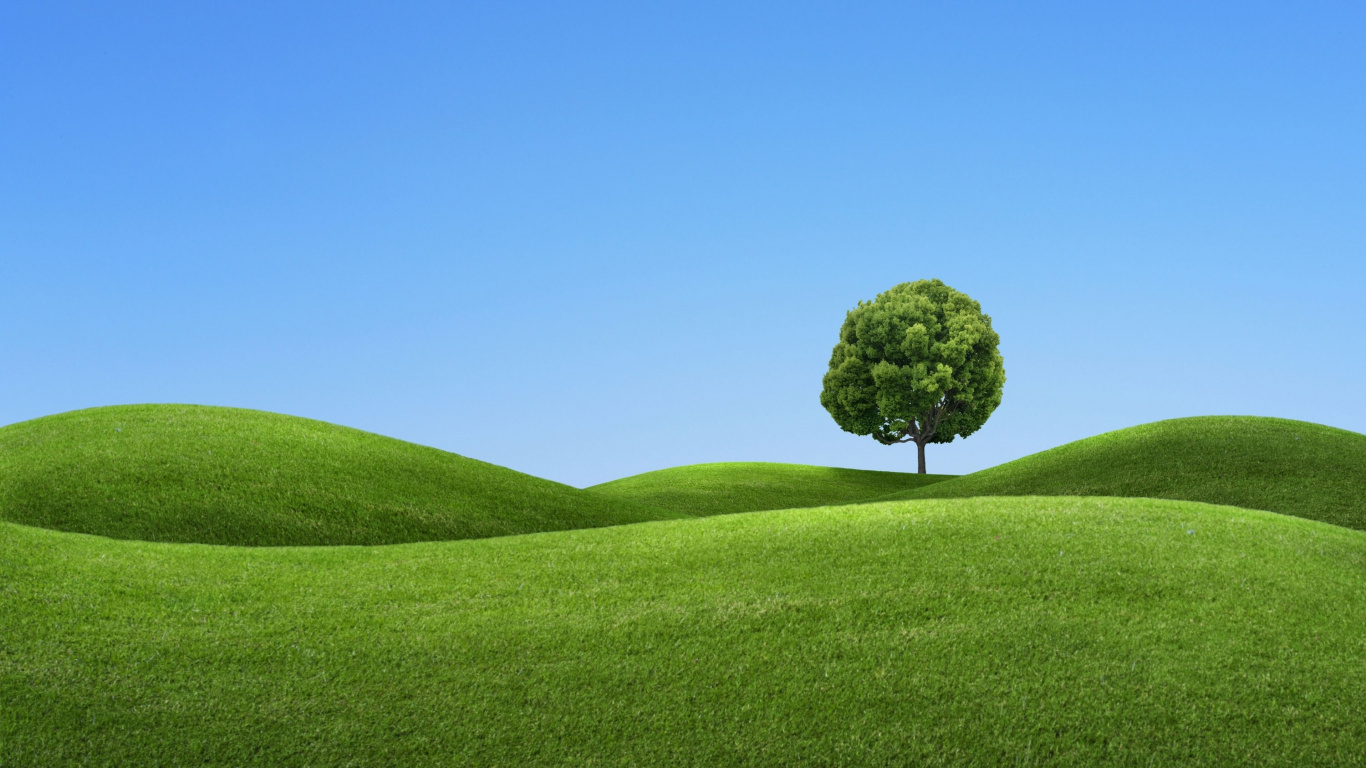 Arbre Vert Sur Terrain D'herbe Verte Sous Ciel Bleu Pendant la Journée. Wallpaper in 1366x768 Resolution