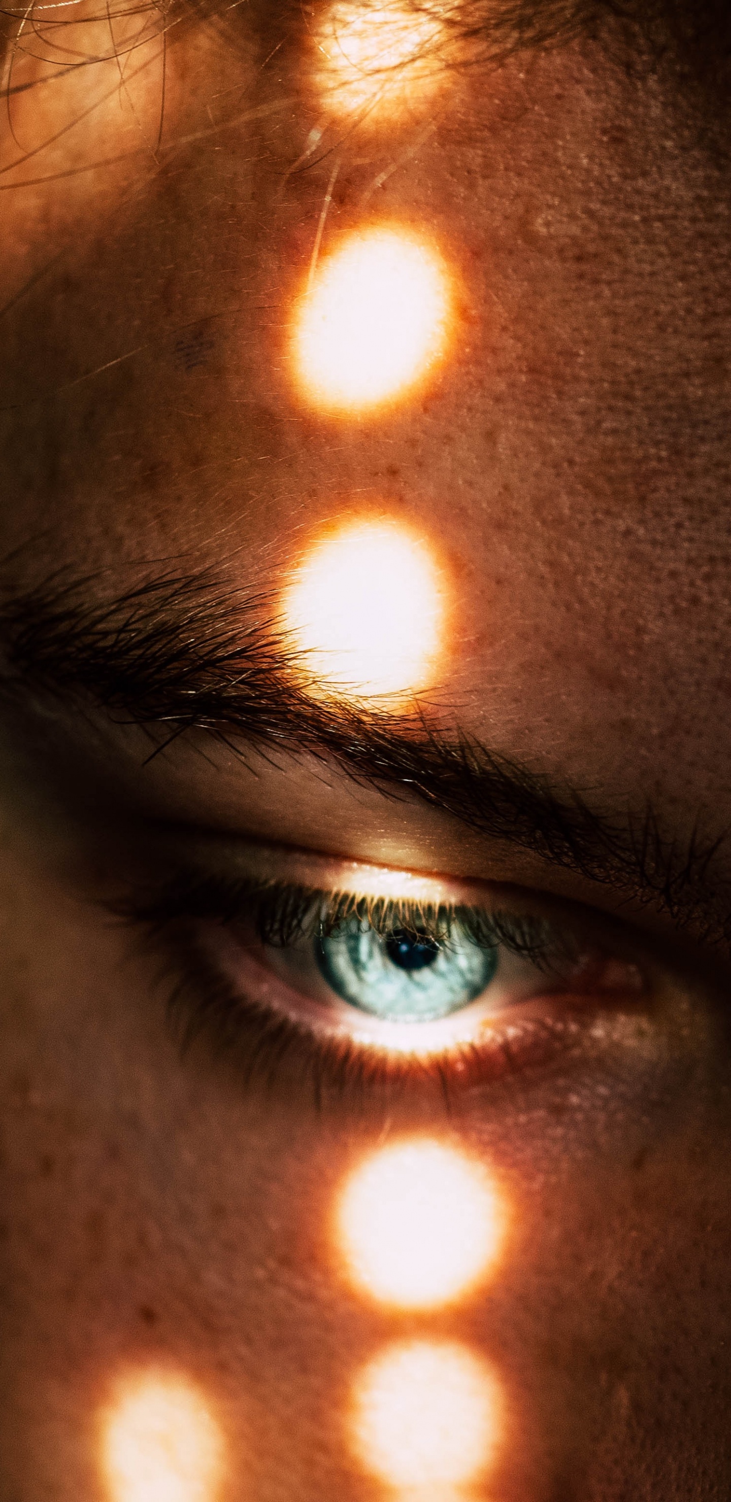 Les Personnes Font Face à la Lumière. Wallpaper in 1440x2960 Resolution