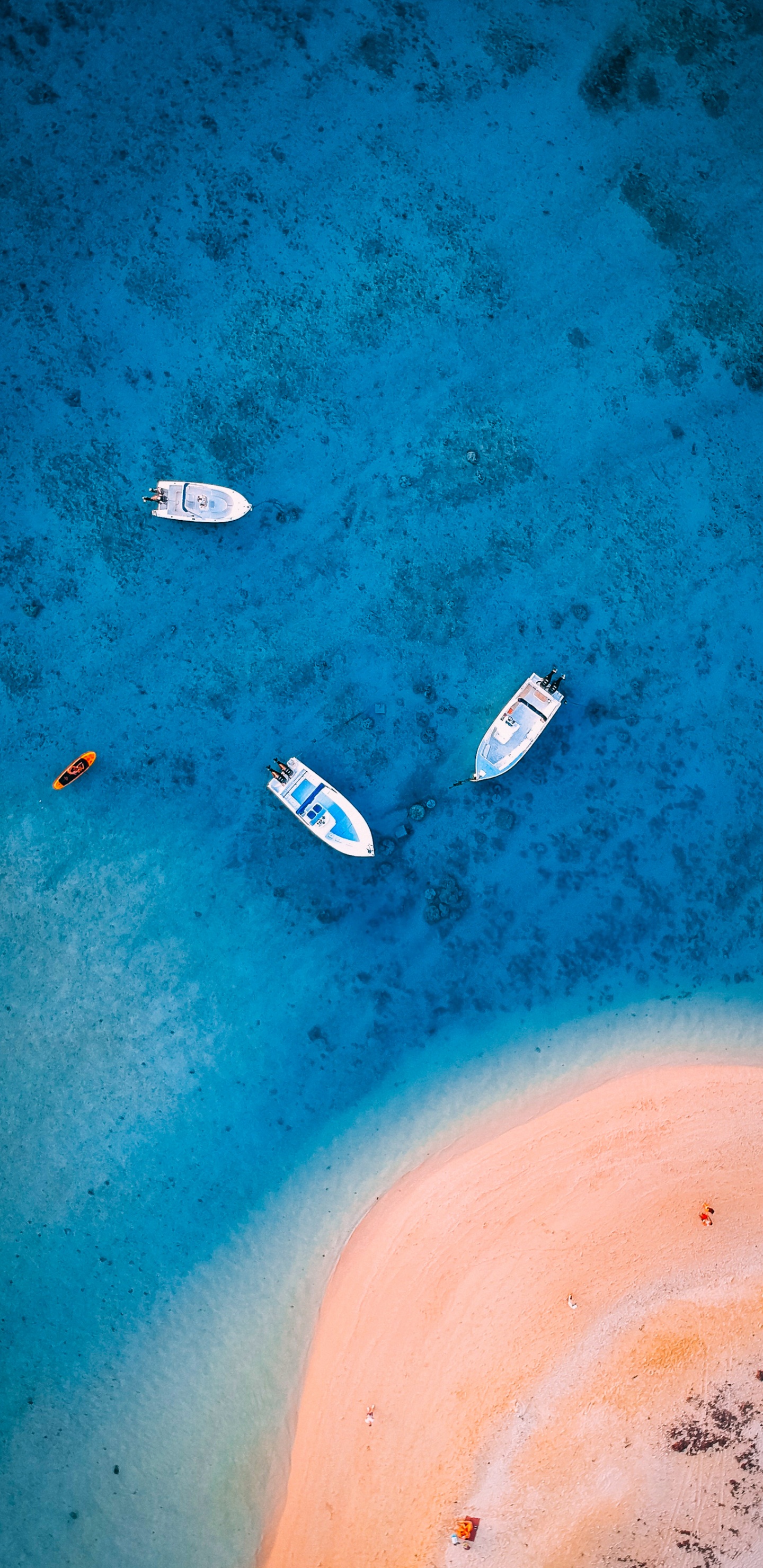 Agua, Capucha, Naturaleza, Cuerpo de Agua, Asfalto. Wallpaper in 1440x2960 Resolution