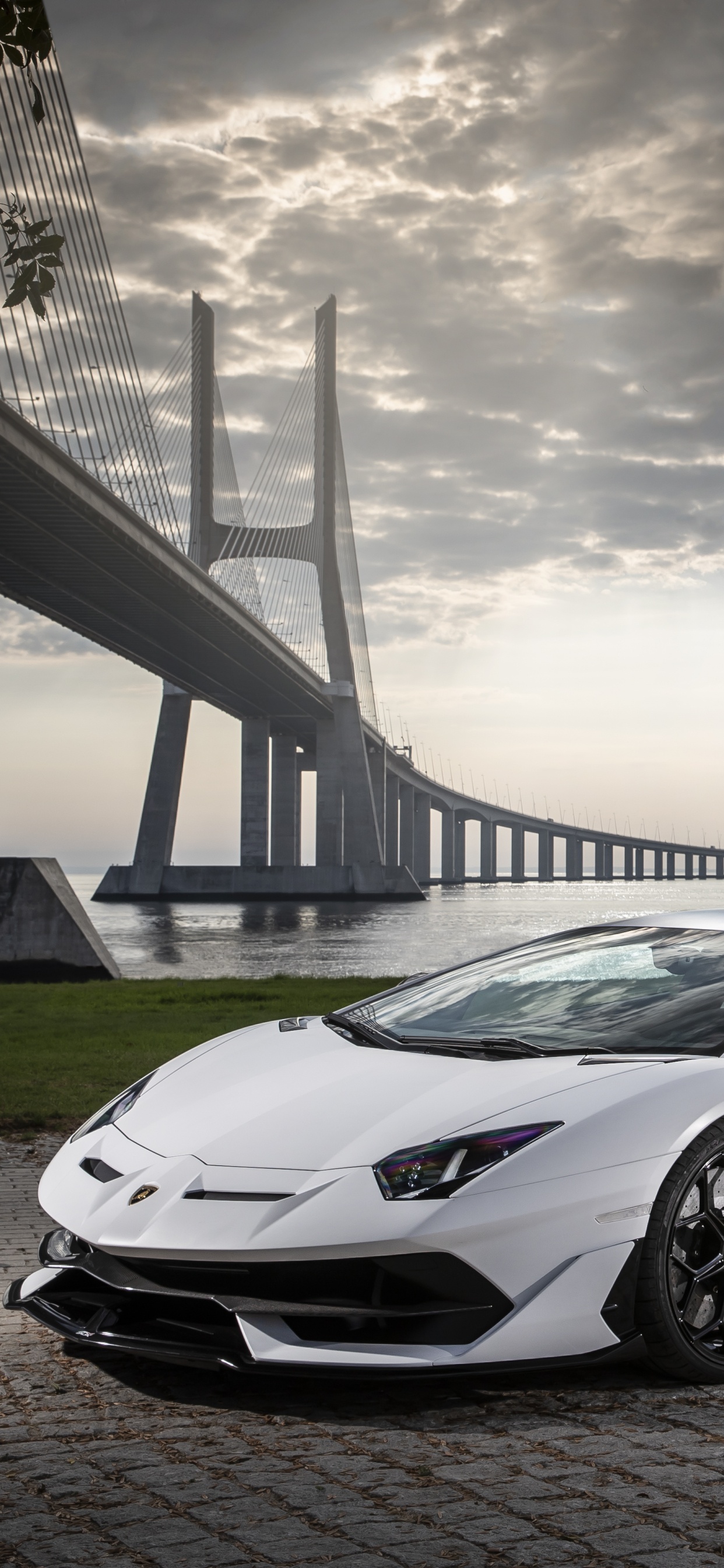 White Porsche 911 on Gray Concrete Road Under Gray Clouds. Wallpaper in 1242x2688 Resolution