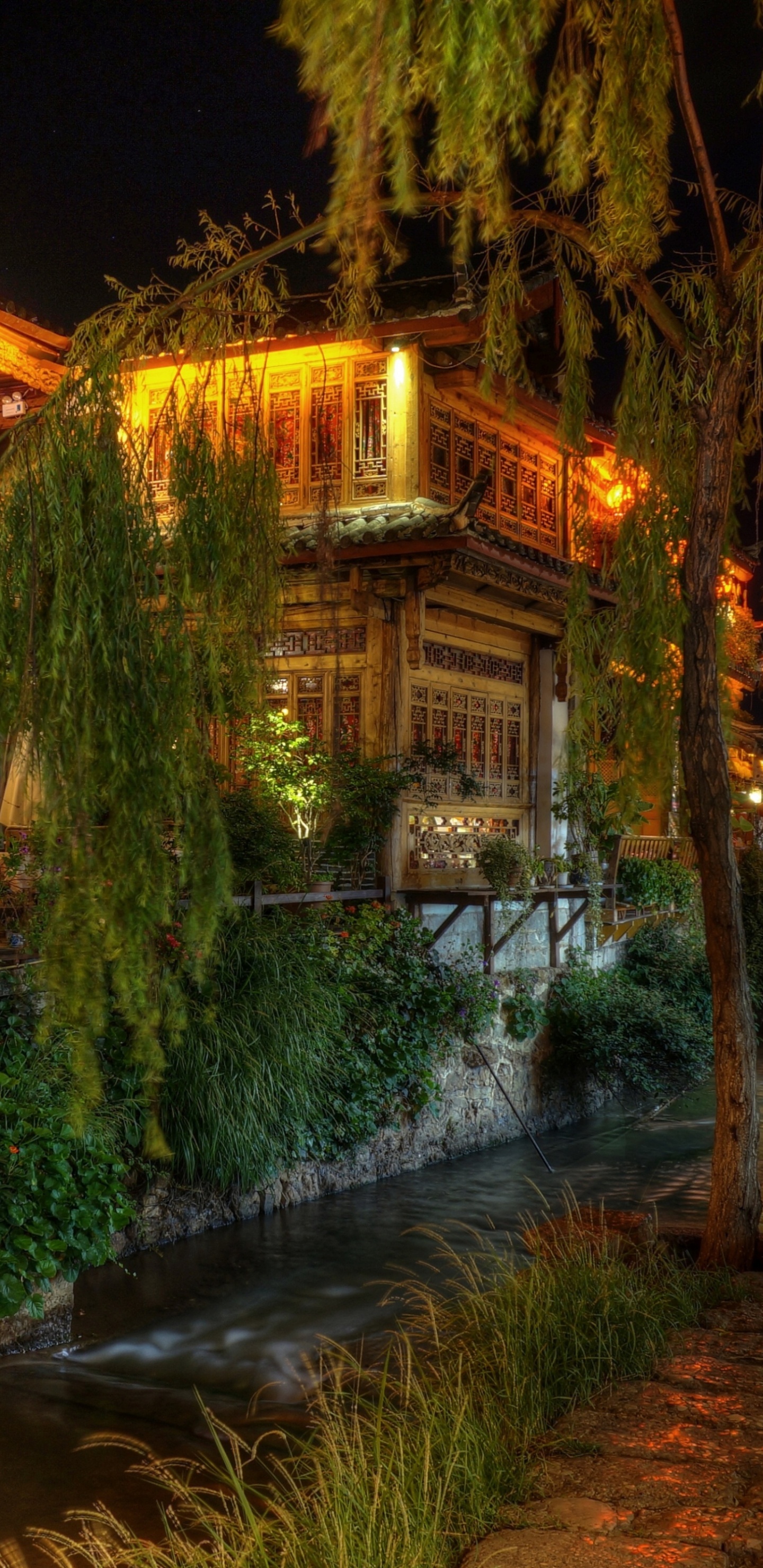 Grüne Bäume in Der Nähe Von Braunem Gebäude Während Der Nachtzeit. Wallpaper in 1440x2960 Resolution