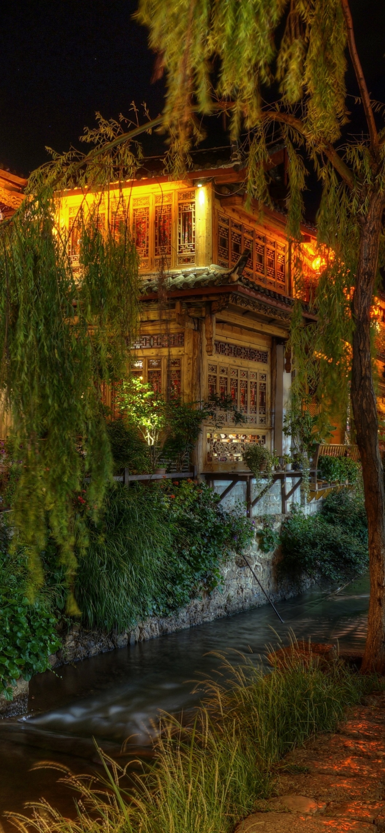 Arbres Verts Près du Bâtiment Brun Pendant la Nuit. Wallpaper in 1242x2688 Resolution