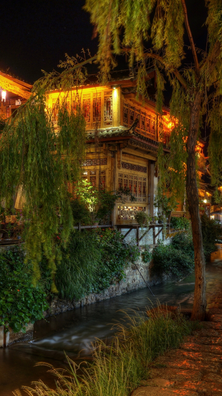 Arbres Verts Près du Bâtiment Brun Pendant la Nuit. Wallpaper in 750x1334 Resolution