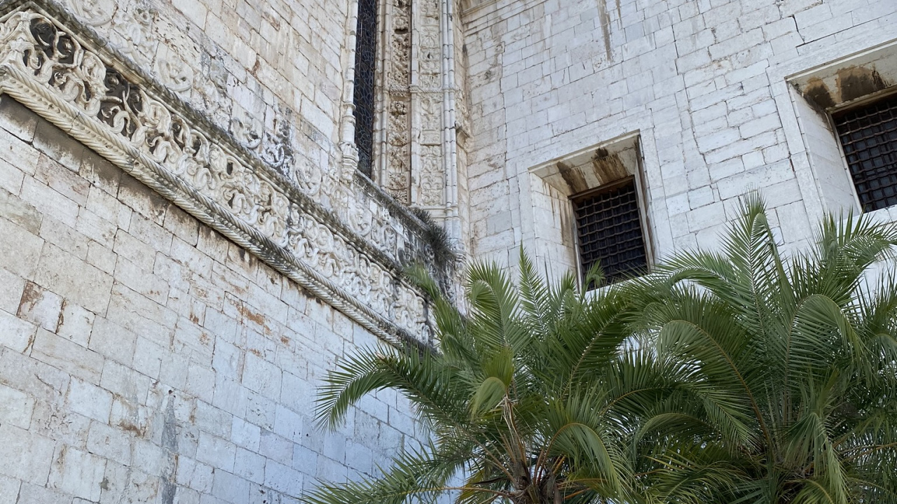 Wall, Palm Trees, Ancient History, Landmark, Palm Tree. Wallpaper in 1280x720 Resolution