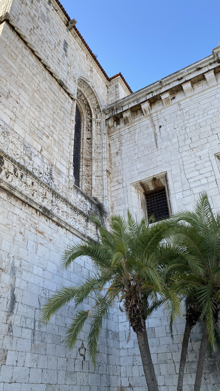 Wall, Palm Trees, Ancient History, Landmark, Palm Tree. Wallpaper in 750x1334 Resolution
