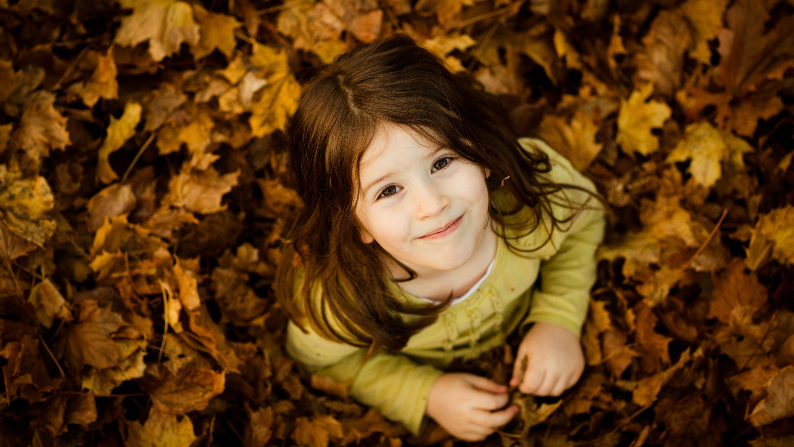 Beautiful Cute Baby Girl, Infant, Brown, Head, Smile. Wallpaper in 2560x1440 Resolution