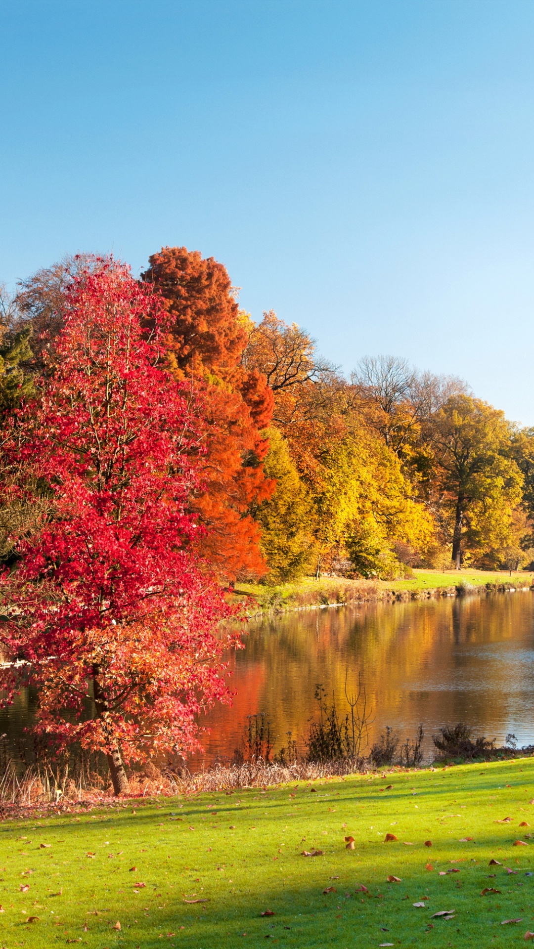 Red and Green Trees Beside River Under Blue Sky During Daytime. Wallpaper in 1080x1920 Resolution