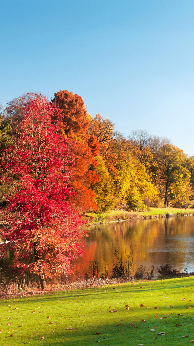 Red and Green Trees Beside River Under Blue Sky During Daytime. Wallpaper in 750x1334 Resolution