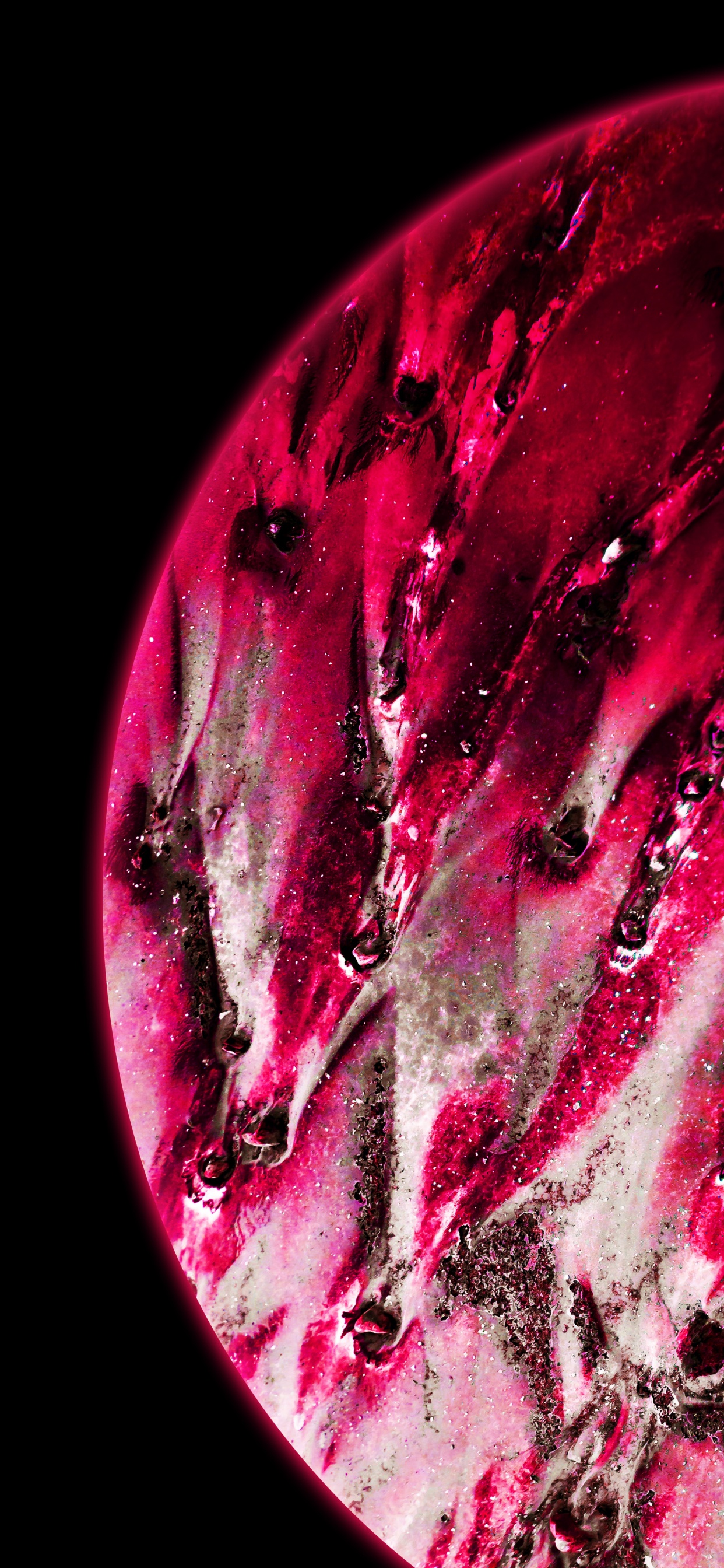 Agua, Iluminación Automotriz, Líquido, Rosa, Pétalo. Wallpaper in 1242x2688 Resolution