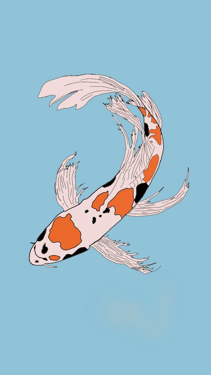 Koi, Science, Fin, Fish, Art. Wallpaper in 720x1280 Resolution