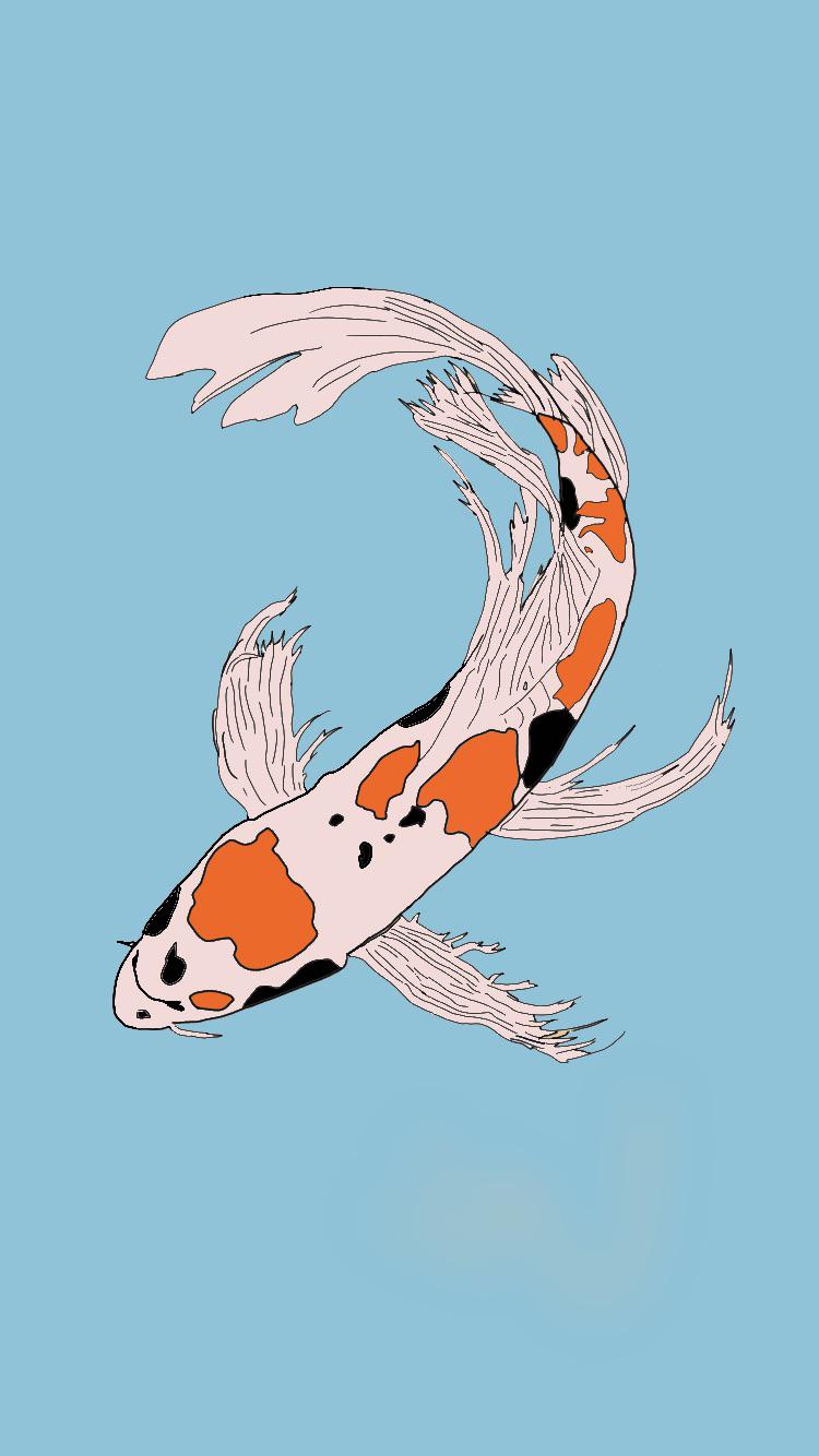 Koi, Sciences, Nageoire, Poisson, Art. Wallpaper in 750x1334 Resolution