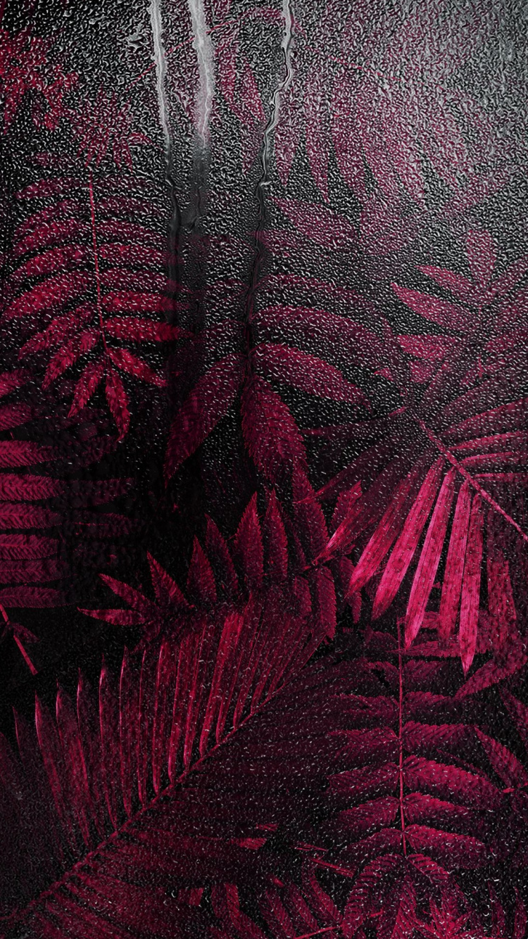 Arts Visuels, Color, Art, Feuille, Plante Terrestre. Wallpaper in 750x1334 Resolution