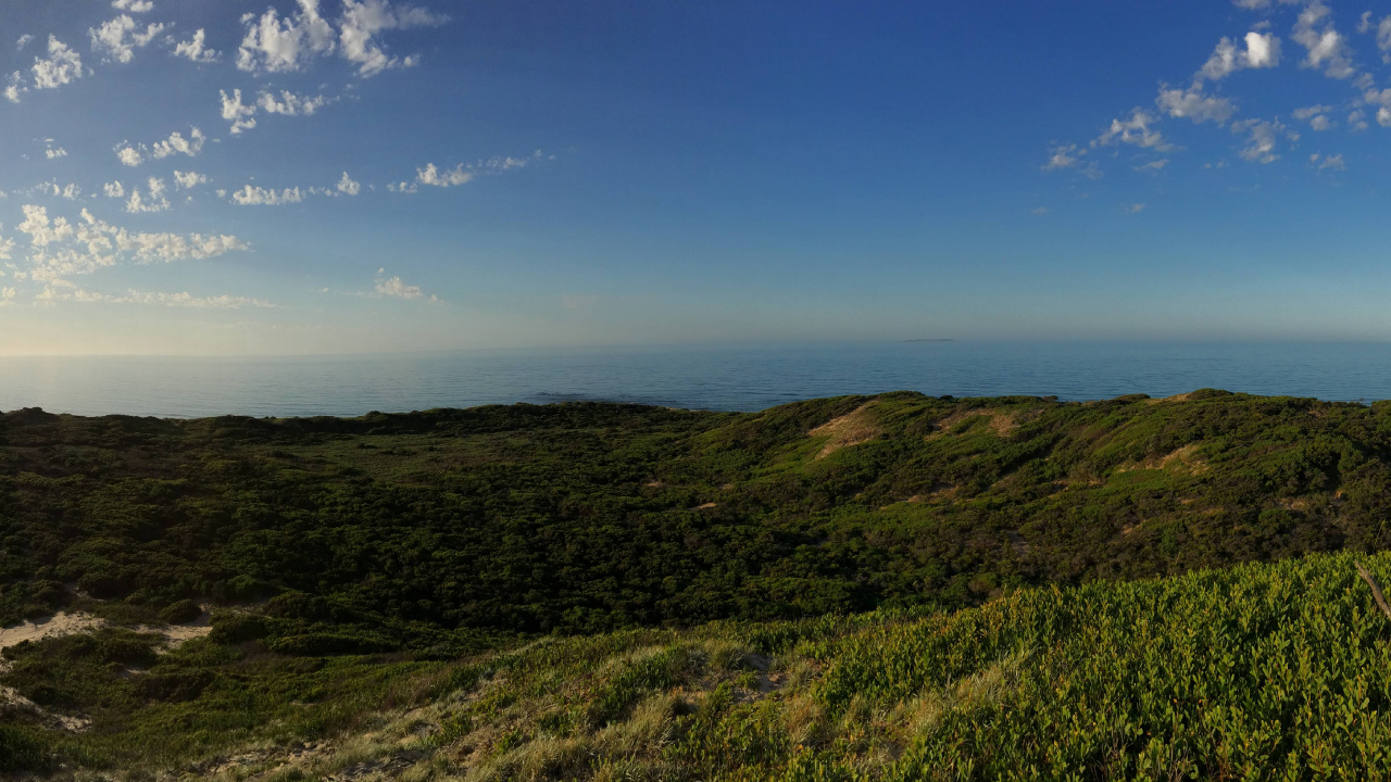 植被, 农村地区, 地平线, 海角, 海岸 壁纸 1280x720 允许