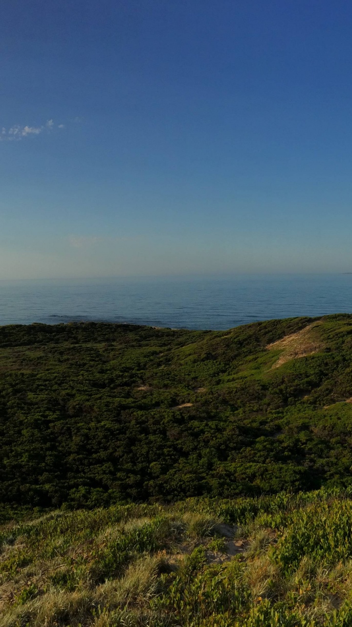 植被, 农村地区, 地平线, 海角, 海岸 壁纸 720x1280 允许