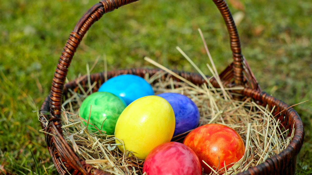 复活节兔子, 复活节彩蛋, 假日, 复活节篮子, 篮子里 壁纸 1280x720 允许