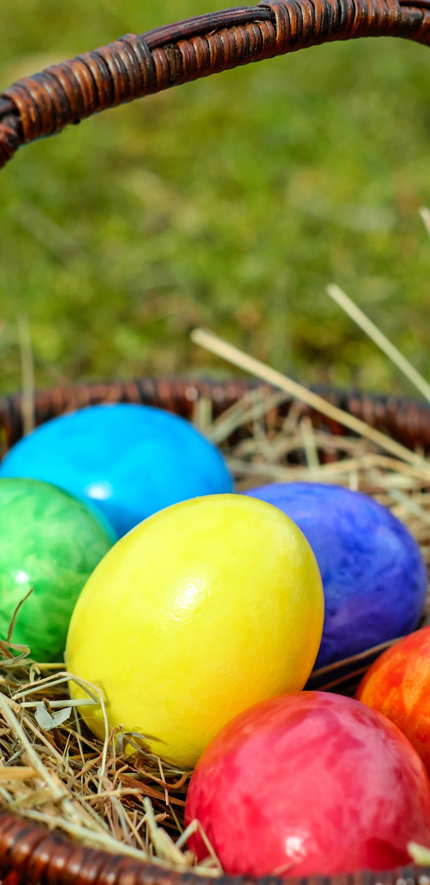 复活节兔子, 复活节彩蛋, 假日, 复活节篮子, 篮子里 壁纸 1440x2960 允许