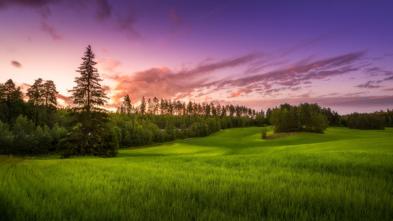 Champ D'herbe Verte Sous Ciel Bleu Pendant la Journée. Wallpaper in 1366x768 Resolution