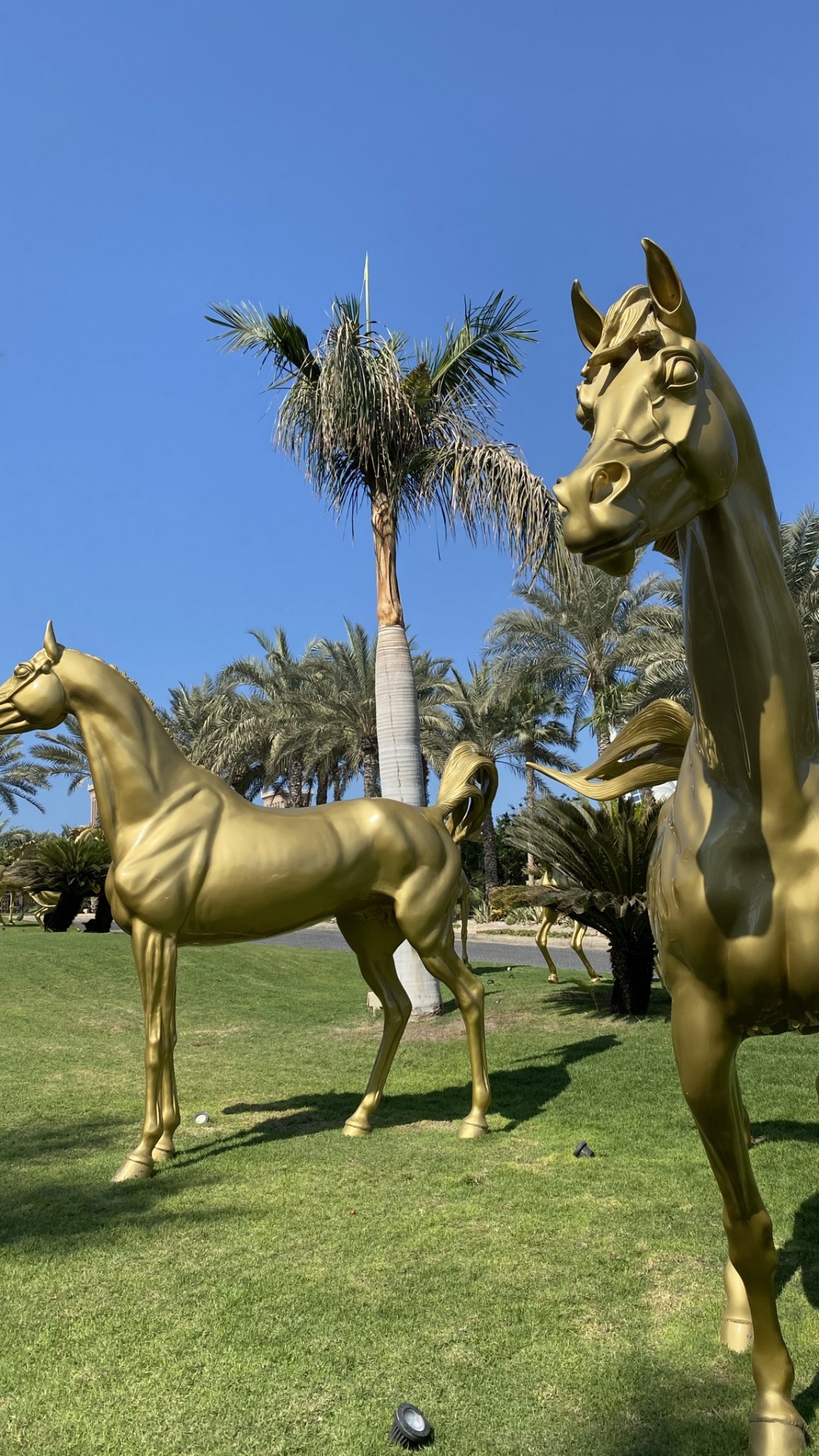 Semental, Mustang, Yegua, Ecosistema, Escultura. Wallpaper in 1080x1920 Resolution