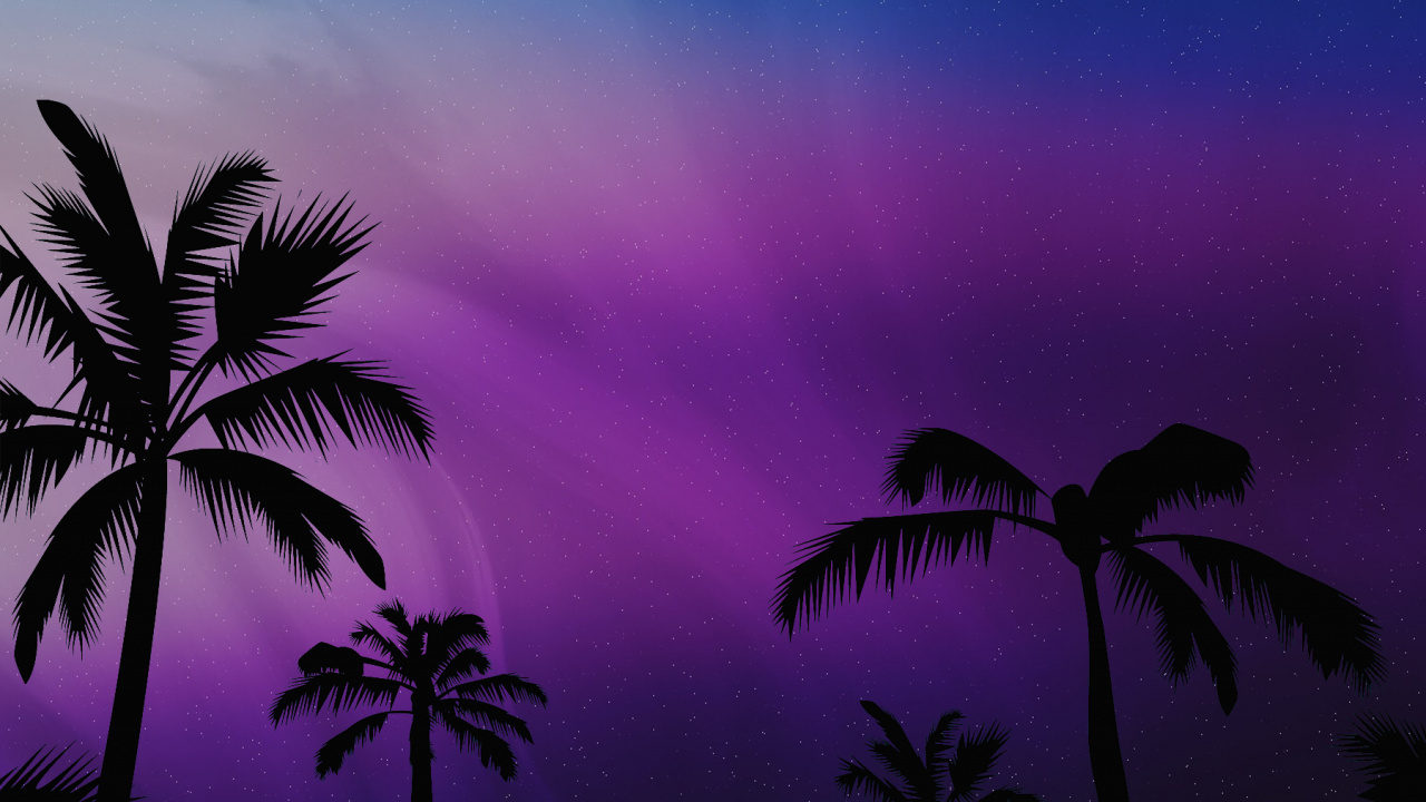 Black Beautiful Phone, Body of Water, Night, Nature, Vegetation. Wallpaper in 1280x720 Resolution