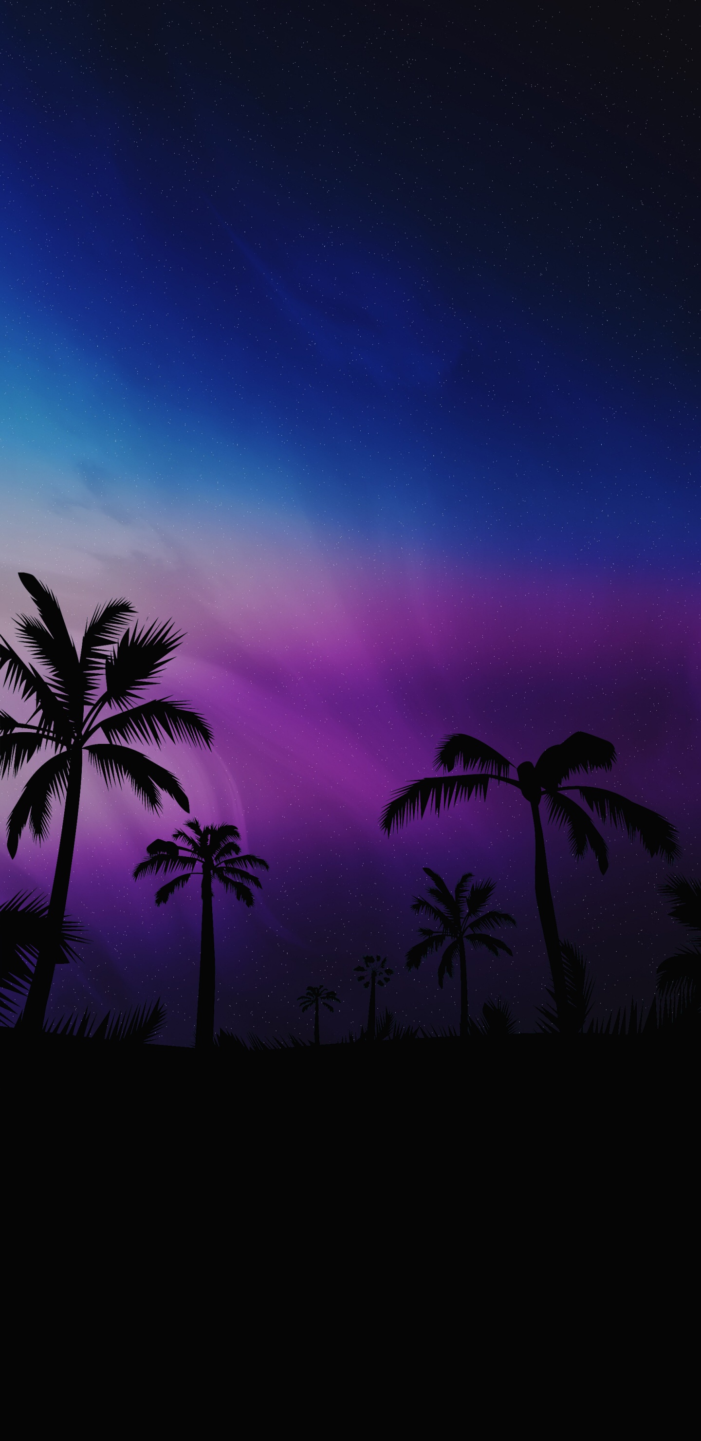 Black Beautiful Phone, Body of Water, Night, Nature, Vegetation. Wallpaper in 1440x2960 Resolution