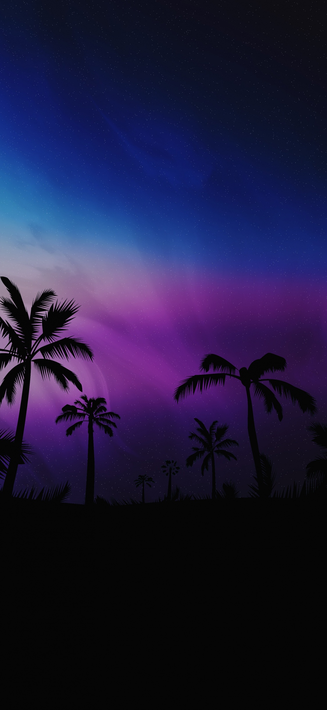 Schwarz Schönes Telefon, Gewässer, Nacht, Natur, Vegetation. Wallpaper in 1125x2436 Resolution