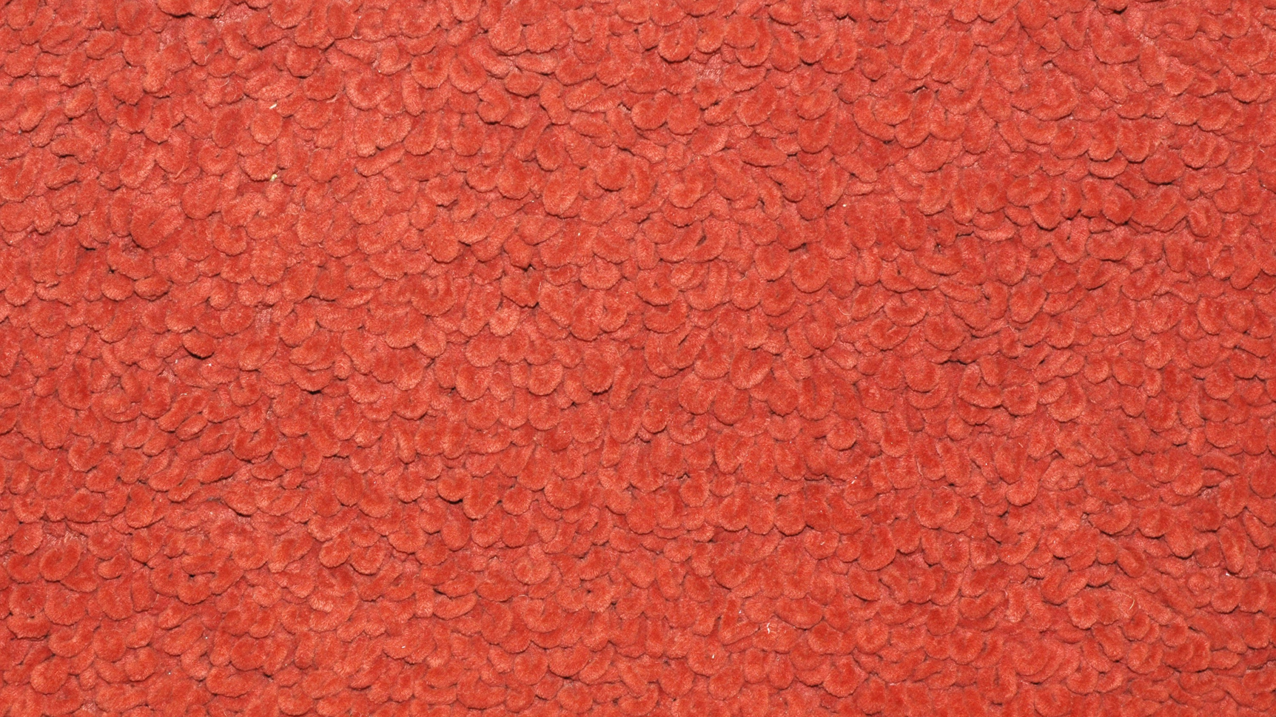 Textile Floral Rouge et Noir. Wallpaper in 2560x1440 Resolution