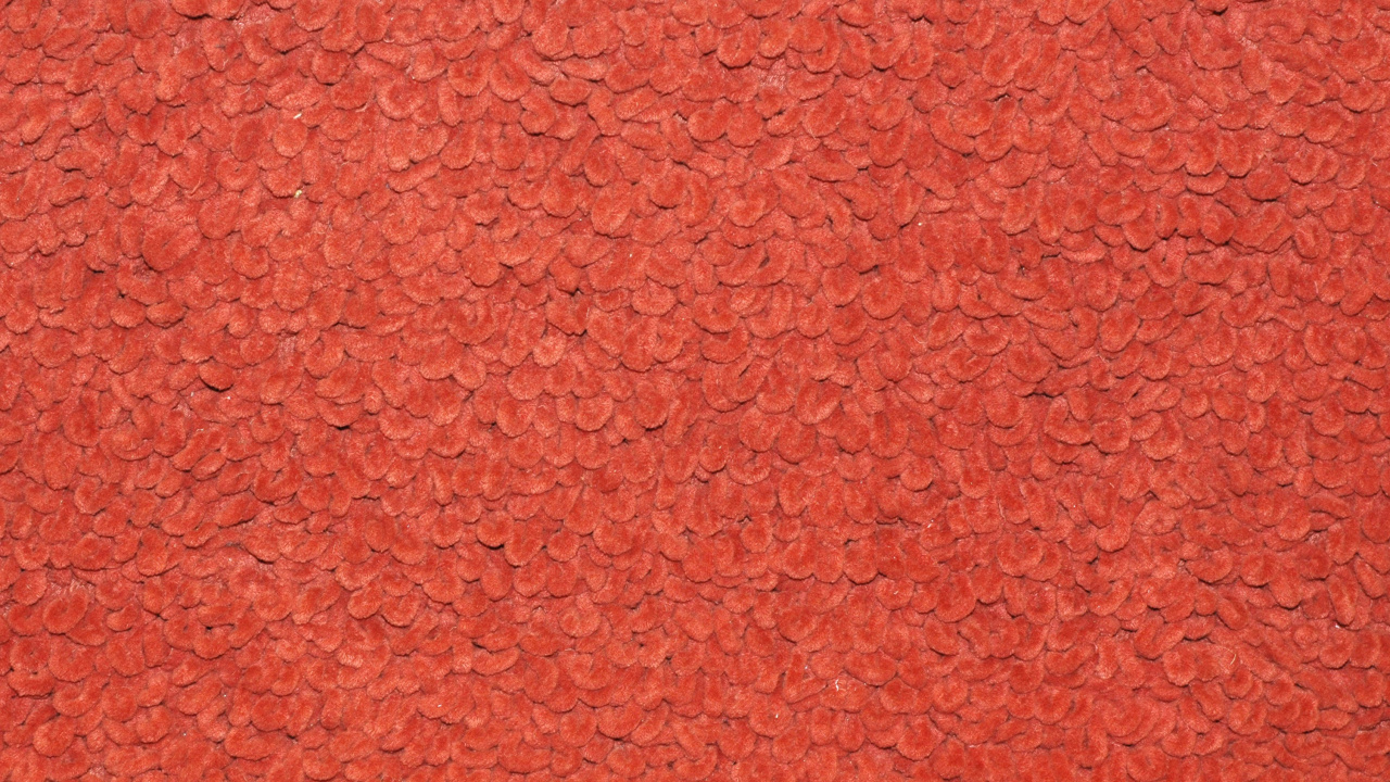 Textil Floral Rojo y Negro. Wallpaper in 1280x720 Resolution